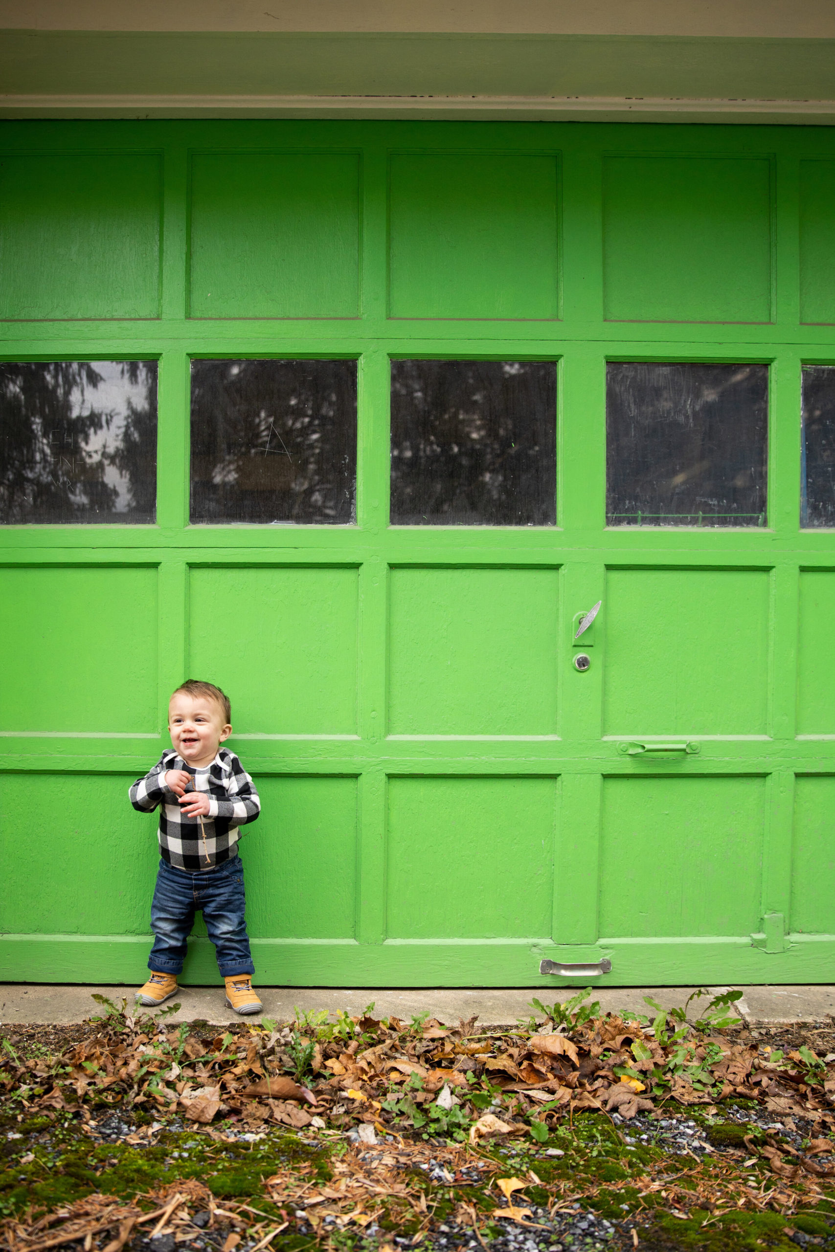 Green Garage Door - 1 year old