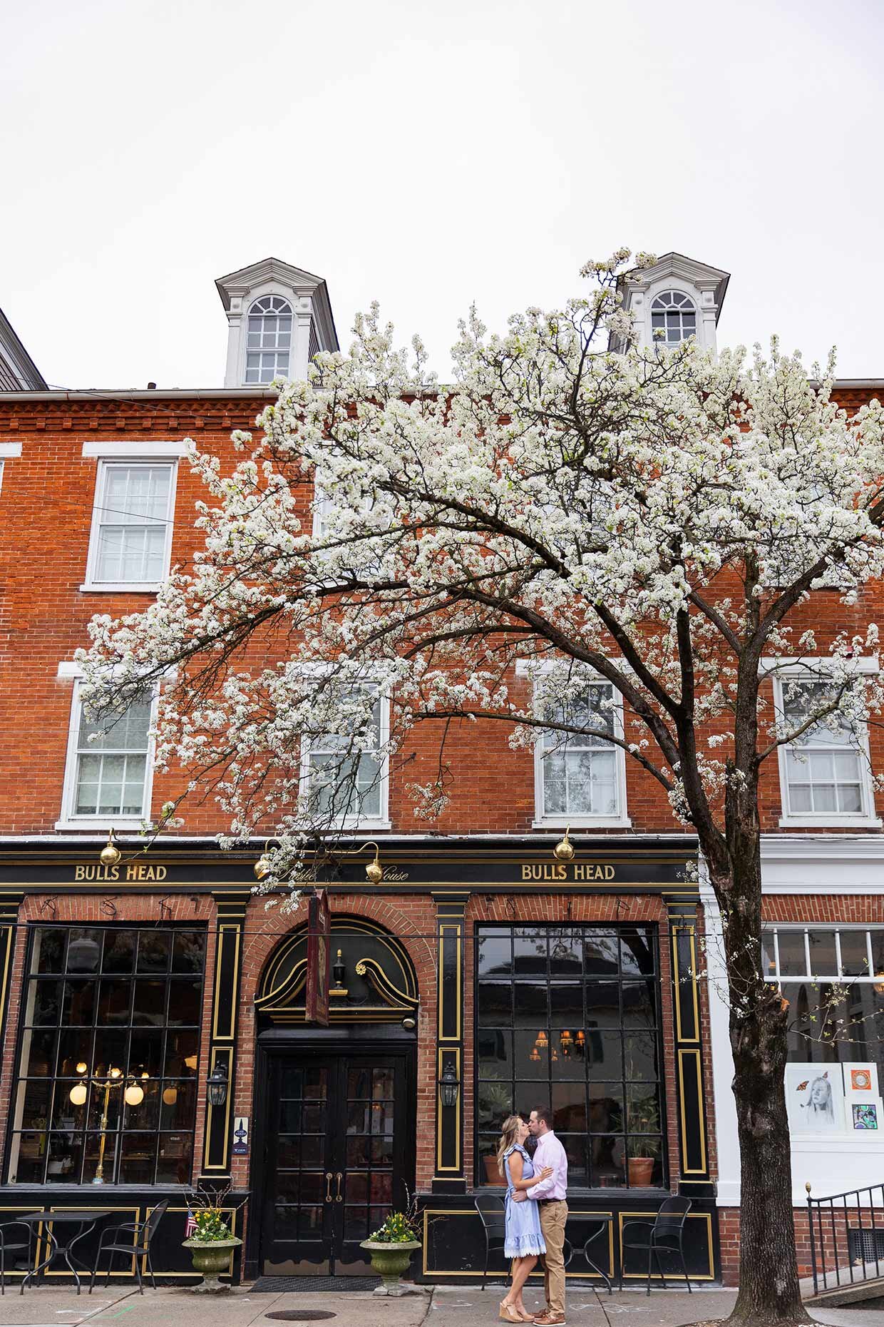 Spring blossoms in bloom at Bulls Head Public House Lititz, PA