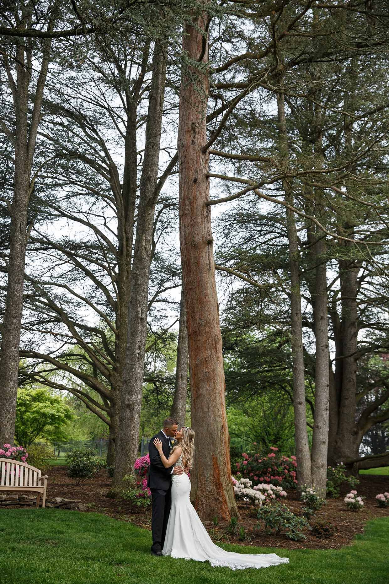 First look amongst cedar trees in Hershey Gardens