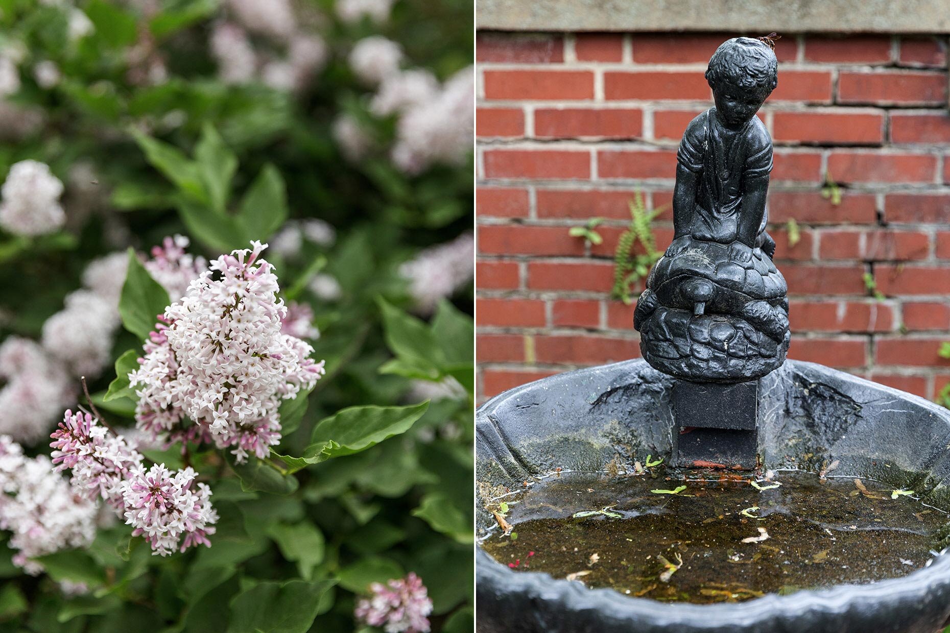 Lily Manor Wedding Central Mifflin, PA Fountain &amp; Lilacs