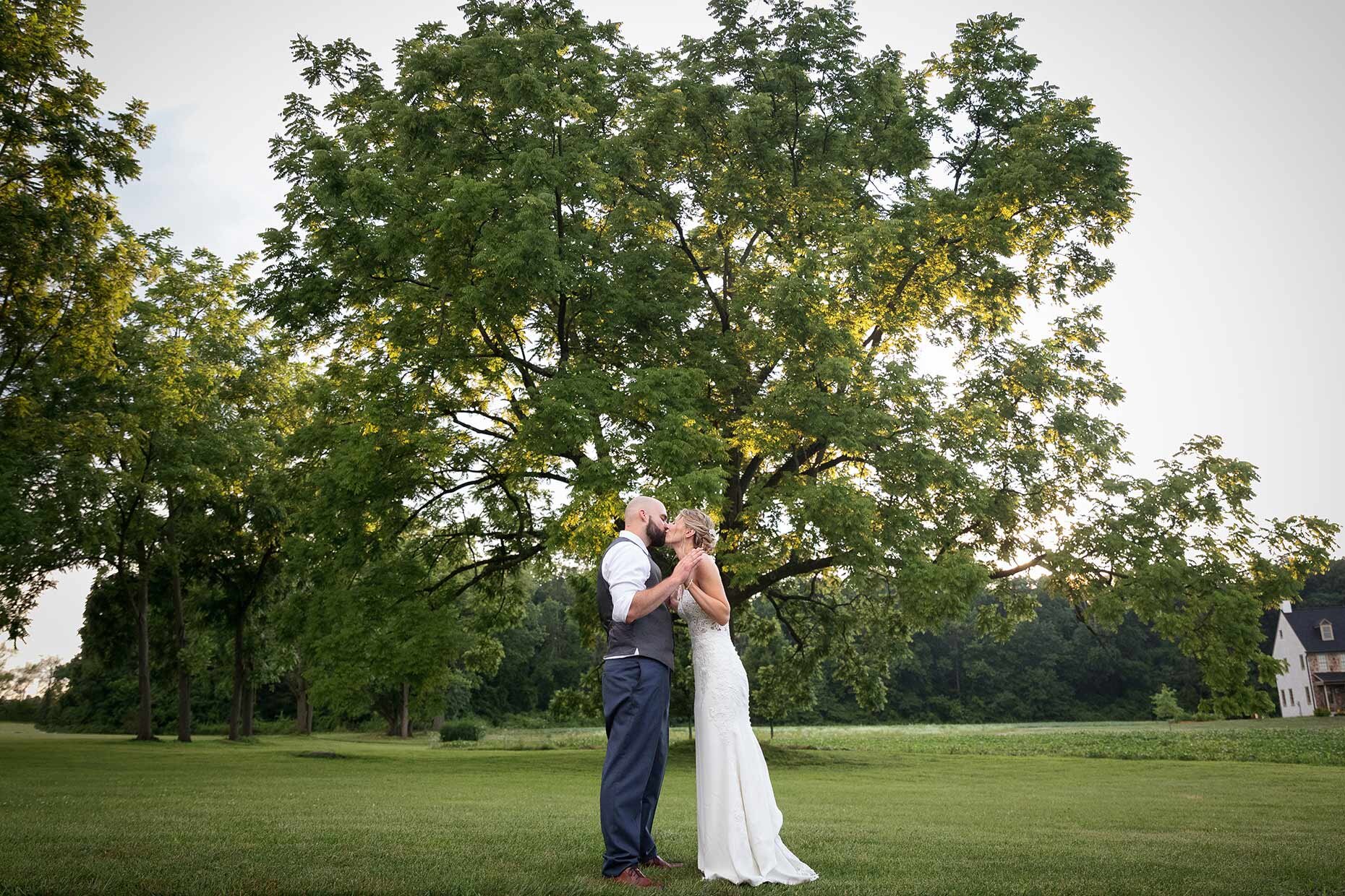 Bride &amp; Groom kissing in front of tree at sunset