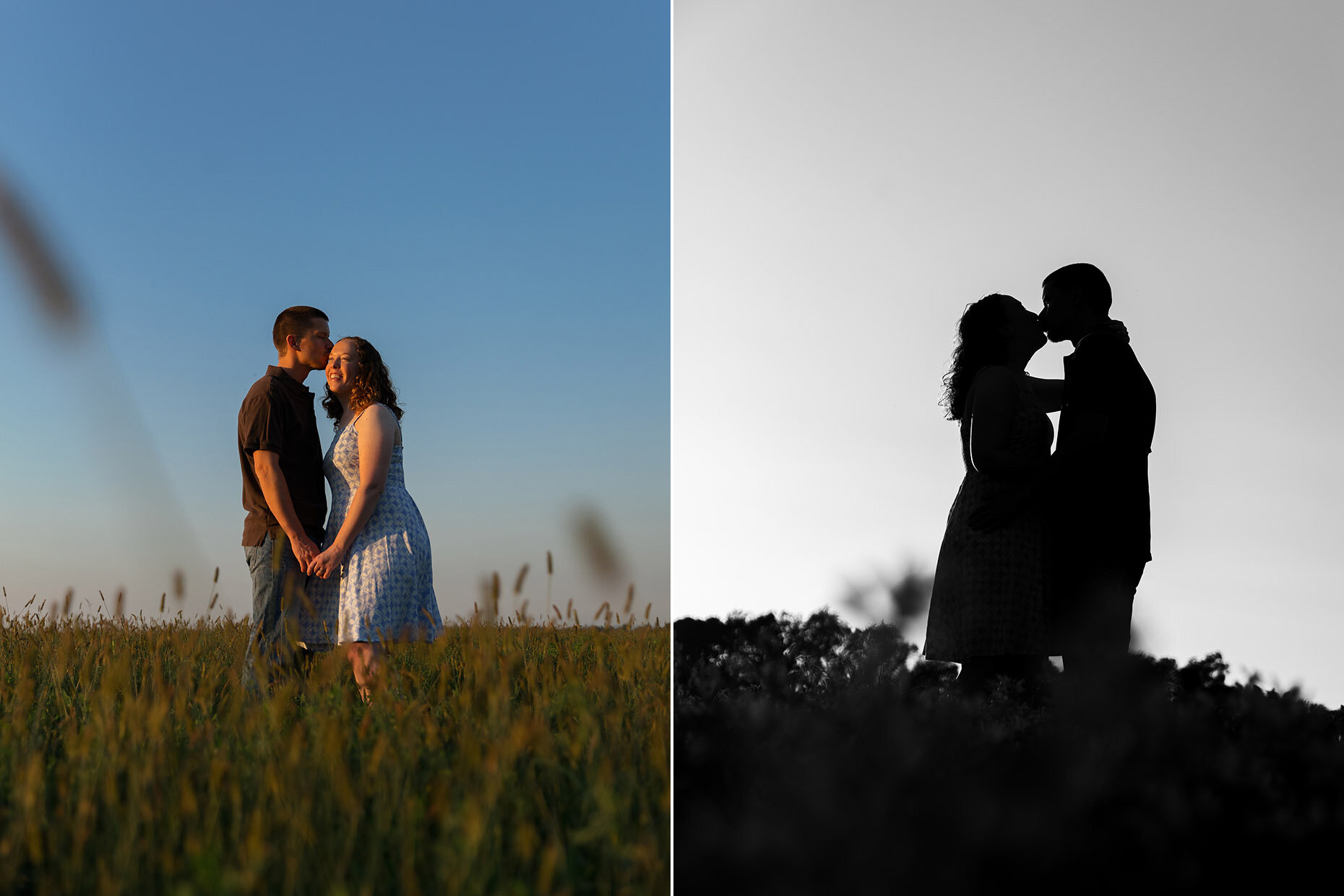 Grassy field silhouettes engagement photos 