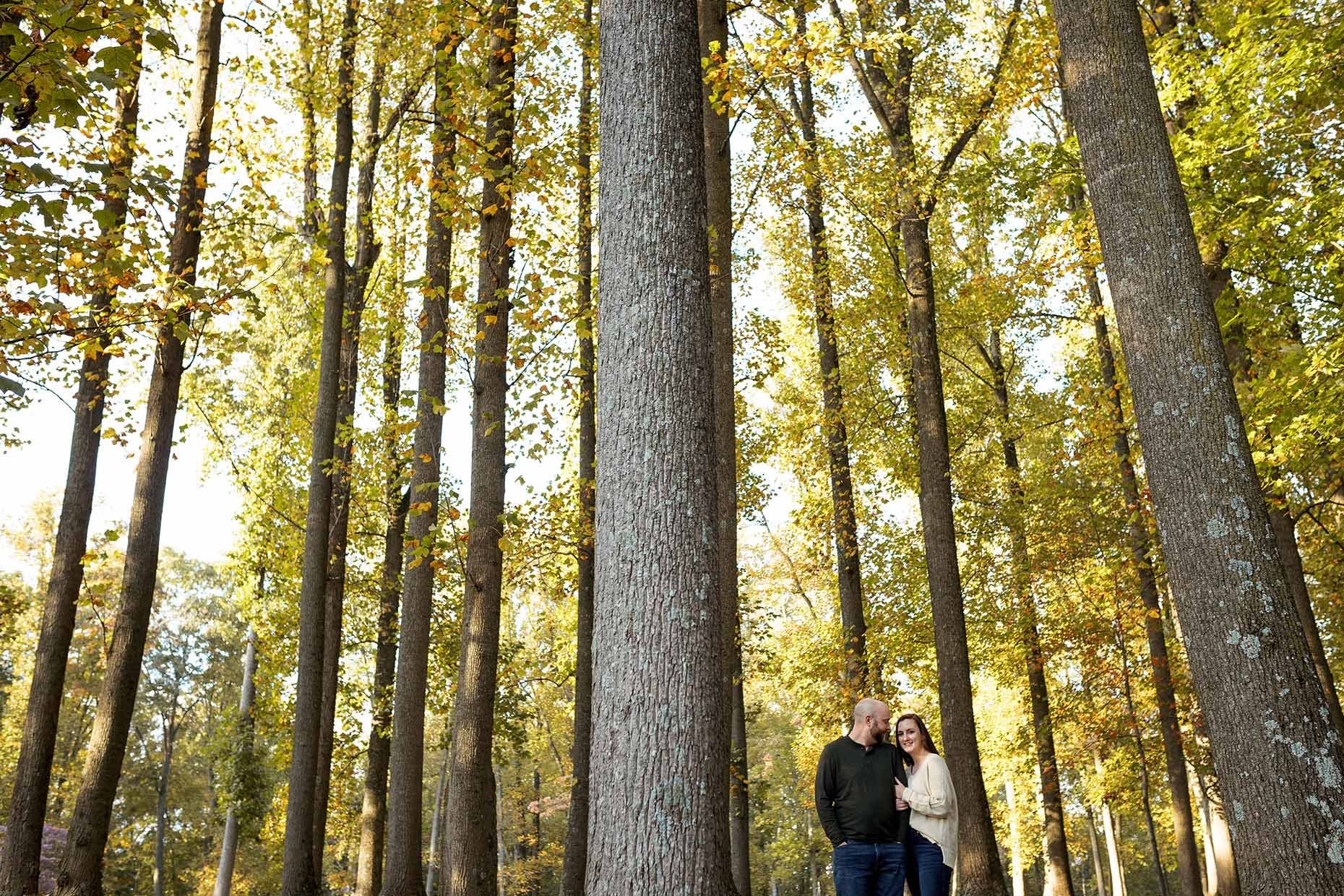 Couple in a forest at Susquehannock state park 