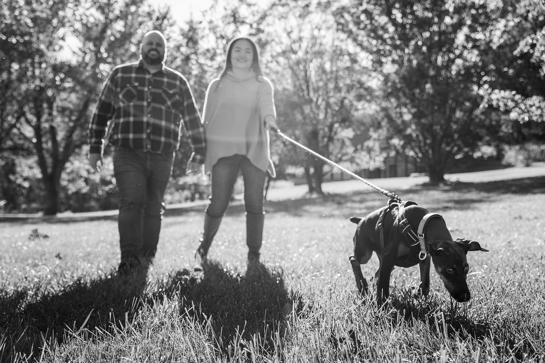 Black and white photo of couple walking their doberman puppy