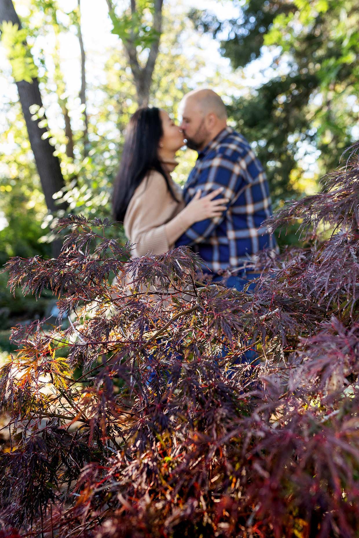 Kissing amongst a japanese maple tree at cylburn arboretum