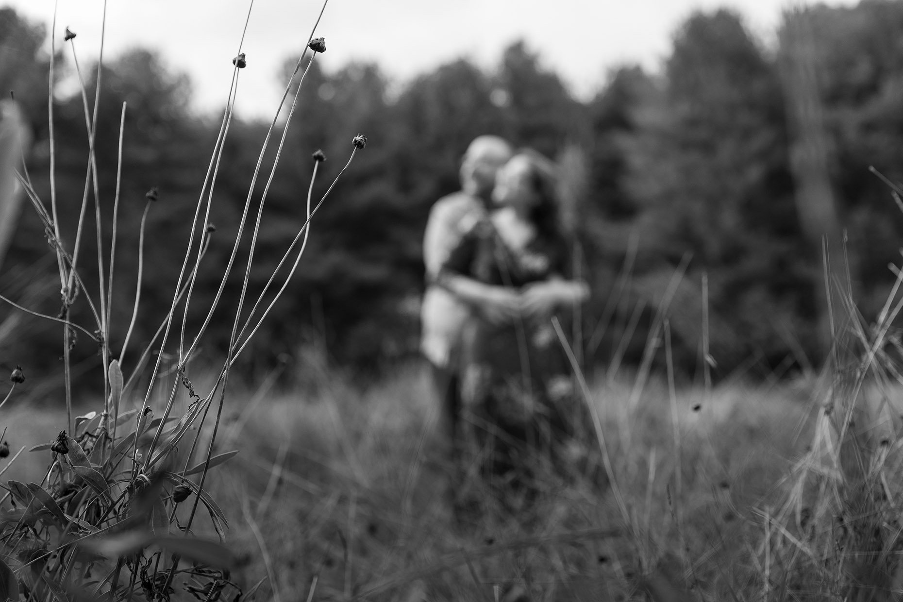 Couple in a grassy field out of focus