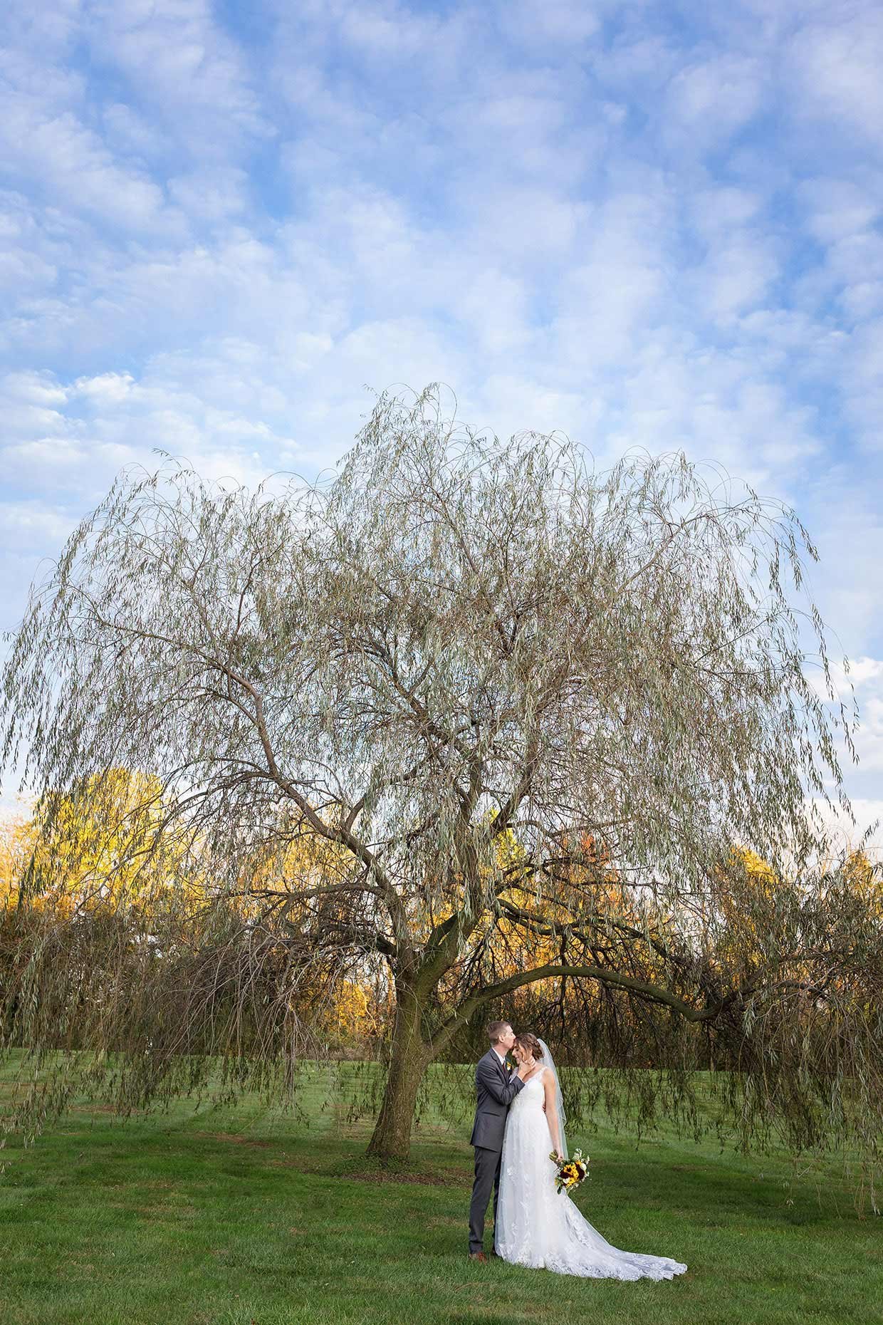 Bride &amp; groom under blue skies &amp; a willow tree
