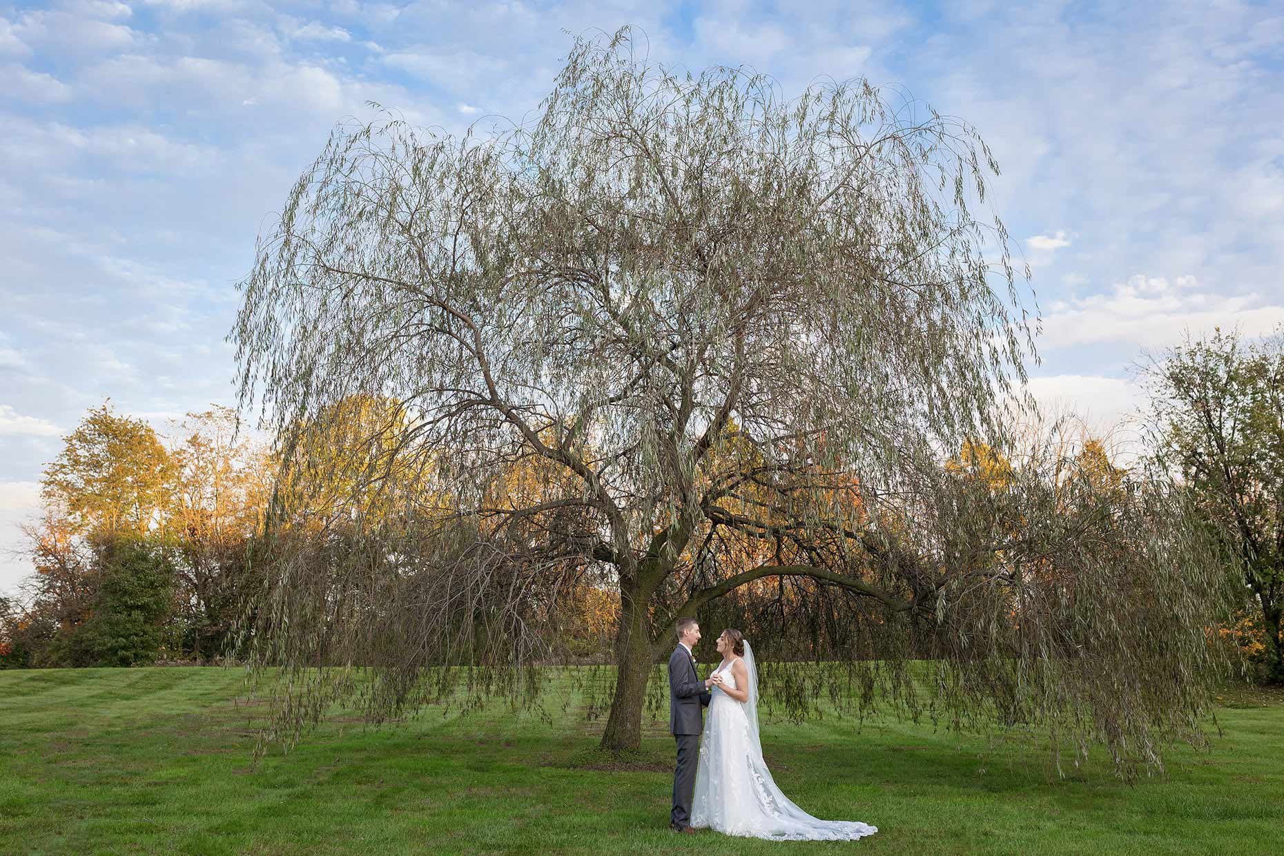 Bride &amp; groom snuggling under a willow tree
