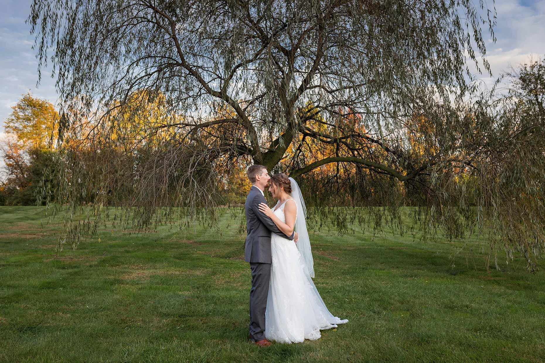 bride &amp; groom snuggling in a willow tree